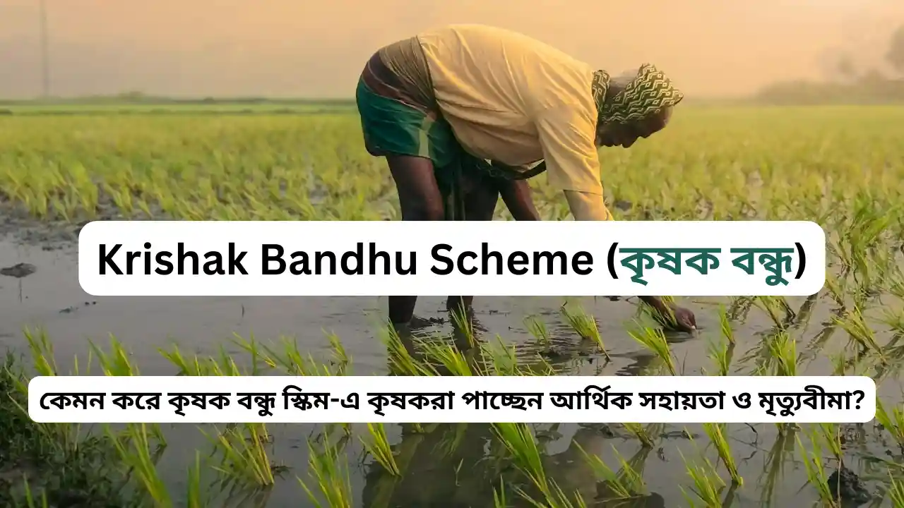 Krishak Bandhu Scheme (কৃষক বন্ধু) | কৃষকদের ₹15000 + DBT, বীমা ও আবেদন গাইড | Complete Details